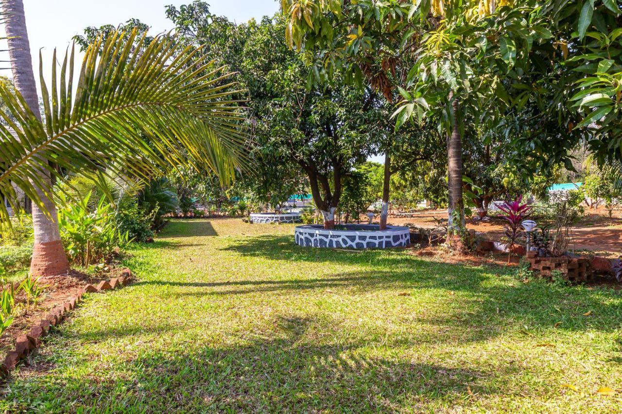Saffronstays Apricus Farm, カルジャット エクステリア 写真